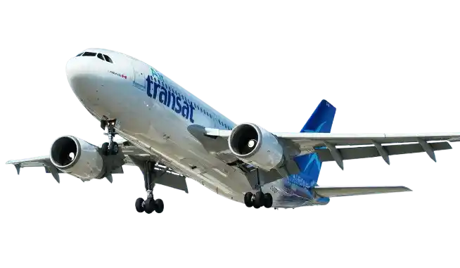 Immigration Plane
